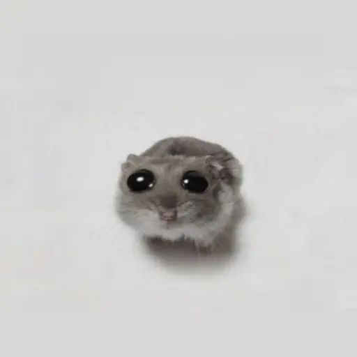 marin_zuki의 리본게이