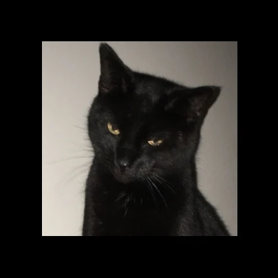 데인