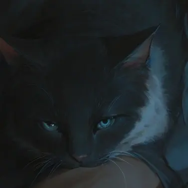 Profile image of みぃた