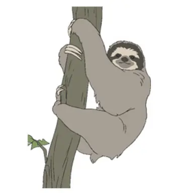 Profile image of ナマケモノさん