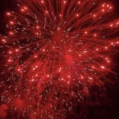 Profile image of 라더