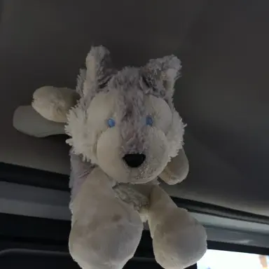 Profile image of こむぎ