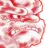 운잔