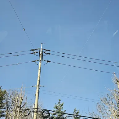 Profile image of 김니디