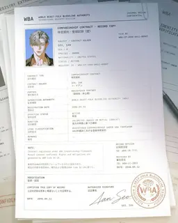 Profile image of イアン