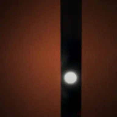 Profile image of 일루션