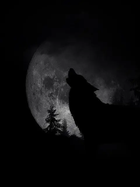 joahae_0.0의 강태범