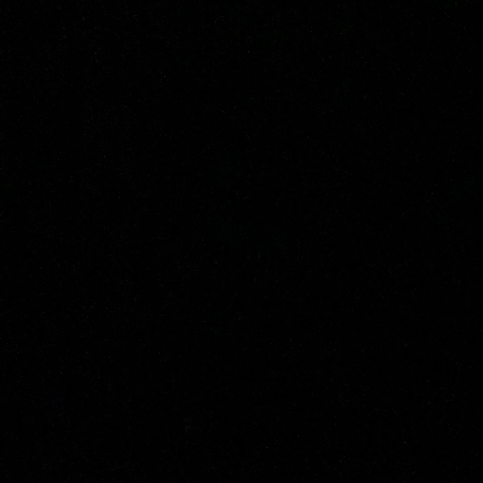 다크카카오맛 쿠키
