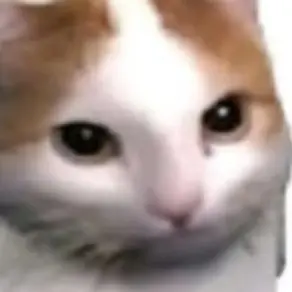 Profile image of 치피