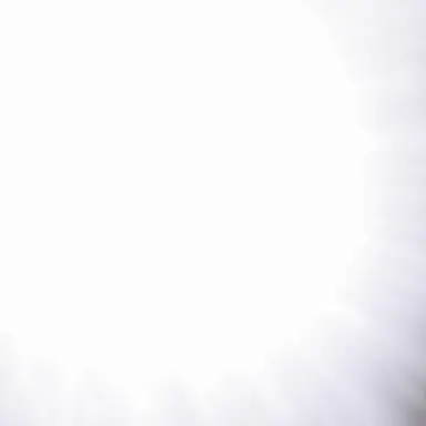 Profile image of 나토리