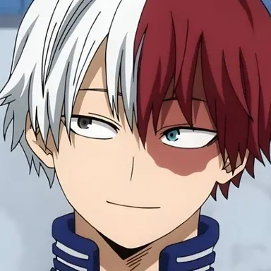 Profile image of Shoto todoroki