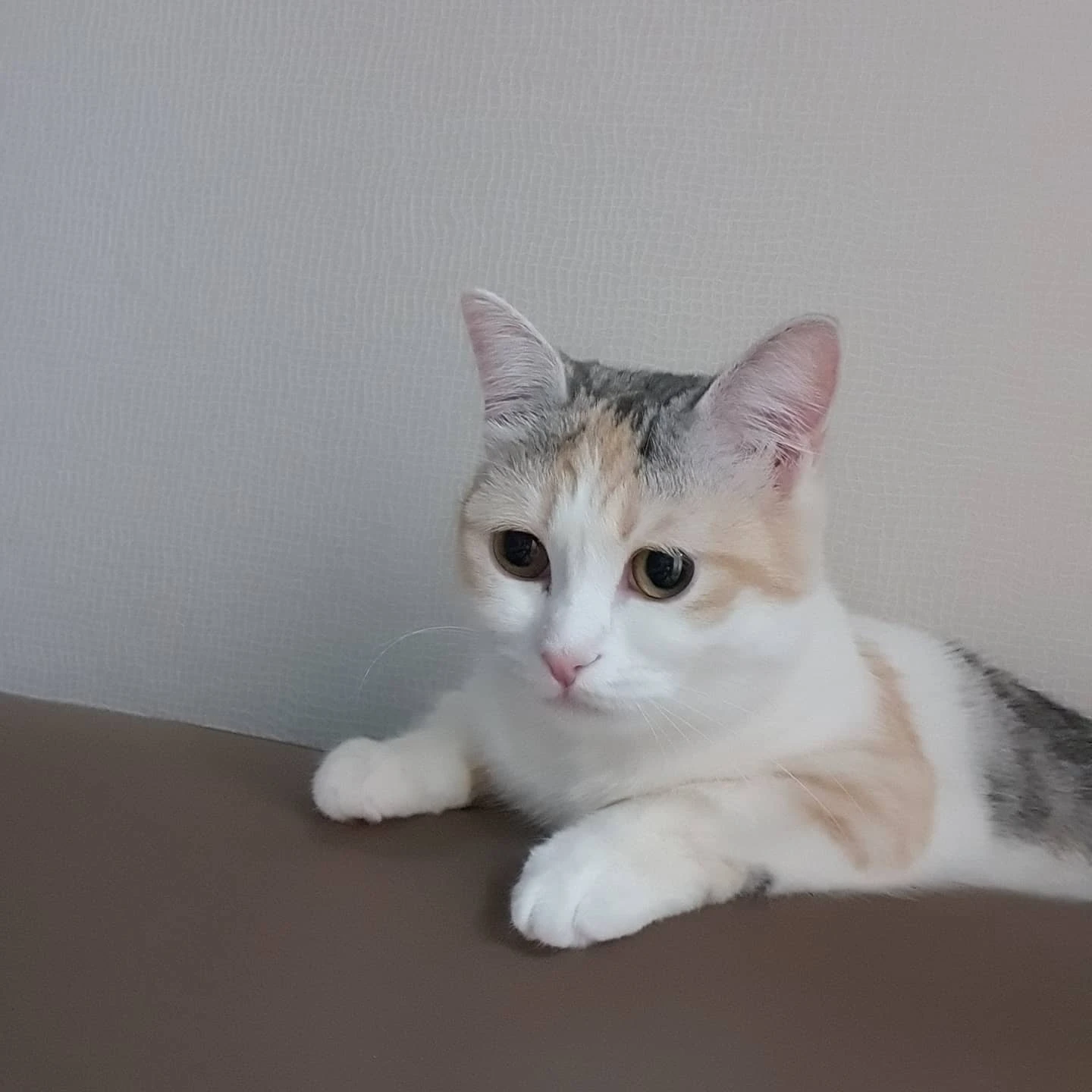 2박3일우당당탕여행
