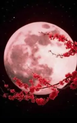Profile image of 라더