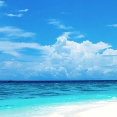 Profile image of 幸利