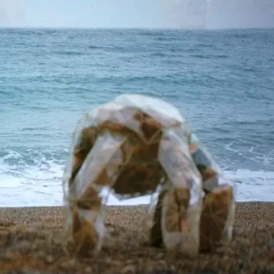 Profile image of Rocky