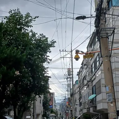 Profile image of 파이브