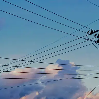 Profile image of フェリシアーノ