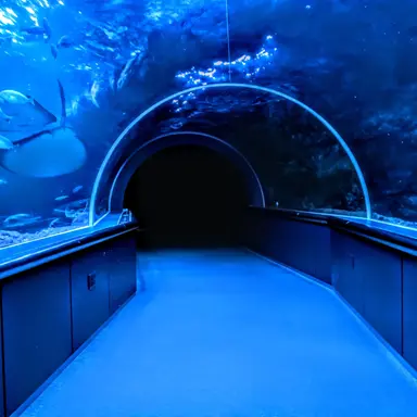 Profile image of 本田菊