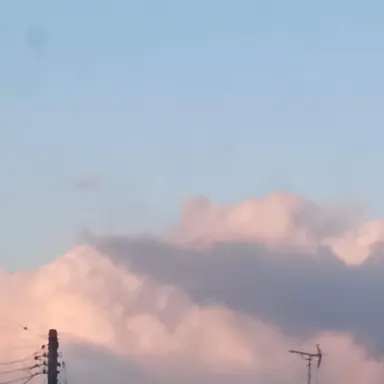 Profile image of アルフレッド