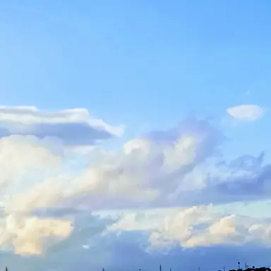 Profile image of フランシス