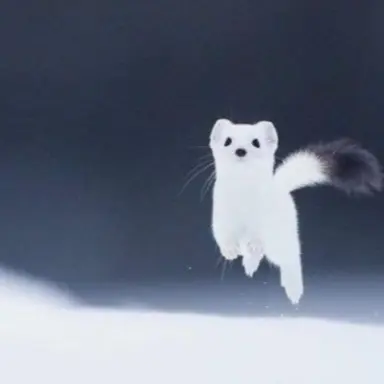 Profile image of 황현진