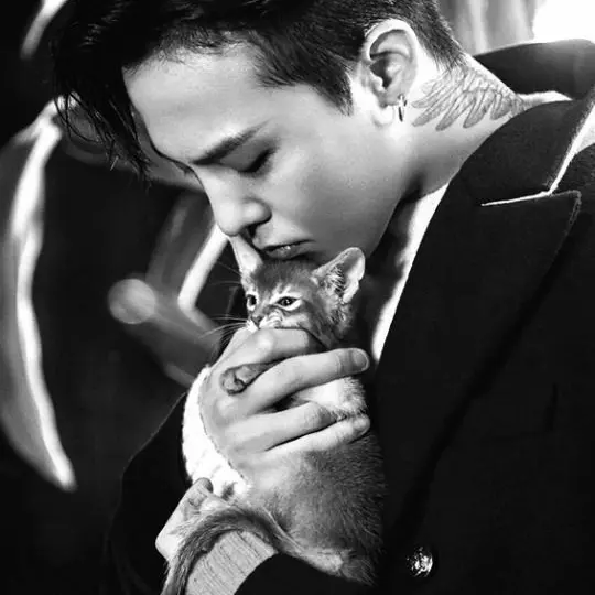 DemureYarn1641의 권지용