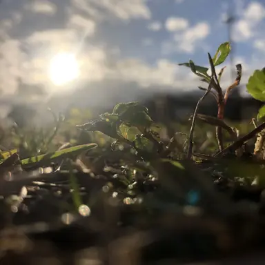 Profile image of クラスメイト