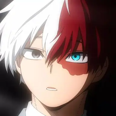 Profile image of Todoroki
