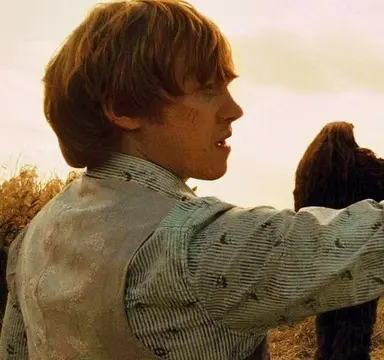 Profile image of Ron Weasley