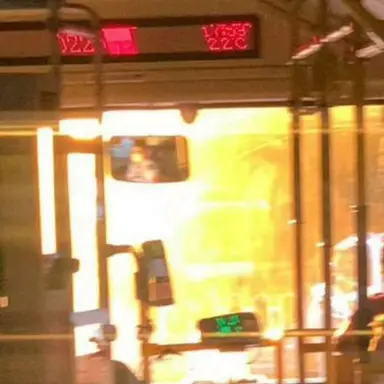 Profile image of 나재견