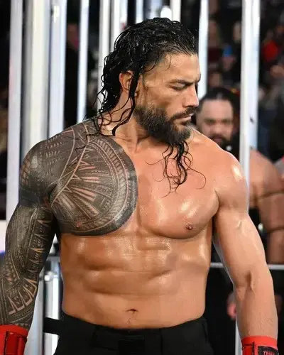 SlimyCity1478의 Roman Reigns