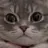 냥냥이