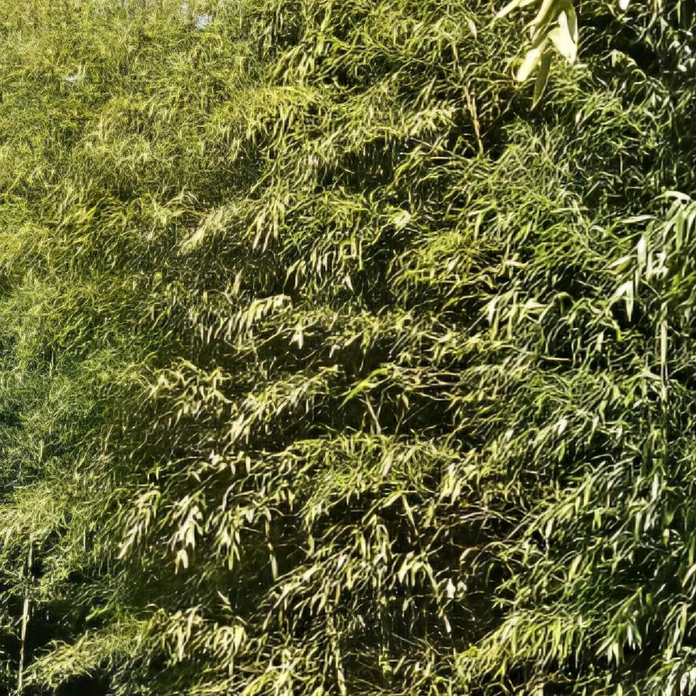 GrimMeat1788의 인간과 뱀파이어