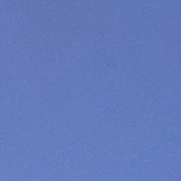 불정
