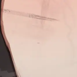 KnottyGuppy6243의 堕落した王国騎士と王国姫の甘い恋