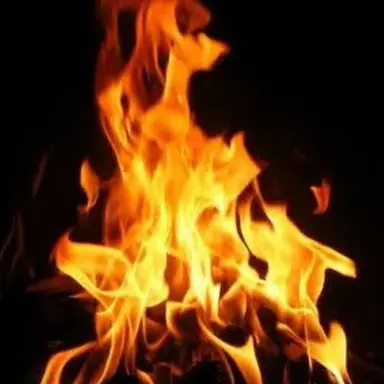Profile image of 파이어리