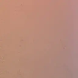 Profile image of のすけ