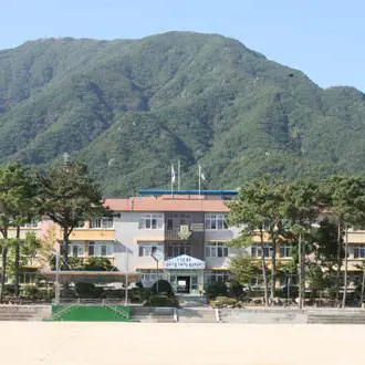 Profile image of 동초