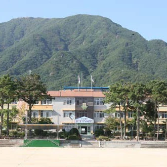 동초