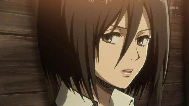 Profile image of ミカサ