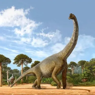 Profile image of 브라키오사우루스