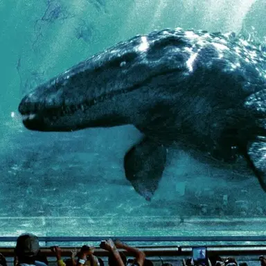 Profile image of 모사사우루스막시무스