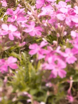 sakutarou28의 ネッ友とオフ会して明かされる衝撃の時事！