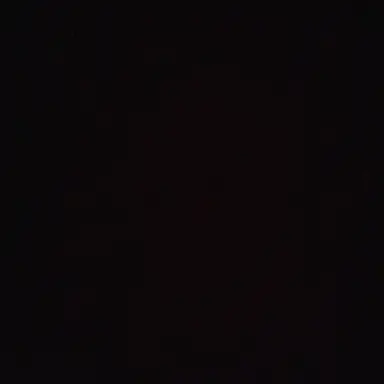 Profile image of 최지우