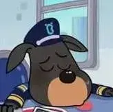 Profile image of Rocco