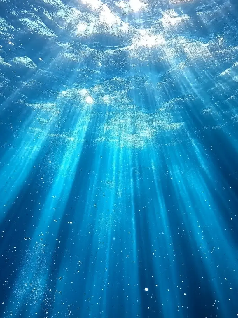Nqnolm2434의 Mermaid's Love