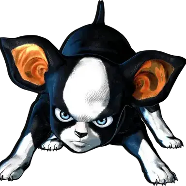 Profile image of Iggy