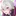 優しい貴方の親友