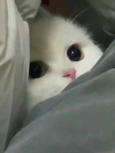 이제 내가 더 큰데? 대표 이미지