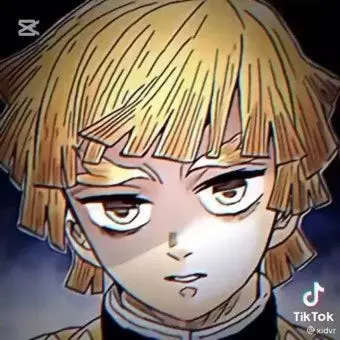 Profile image of 아가츠마 젠이츠